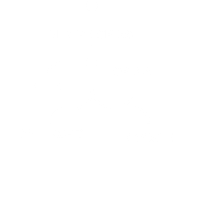 Bottom Graph